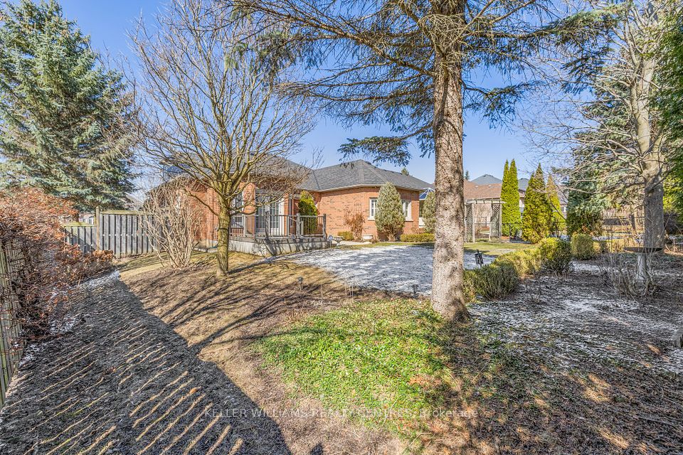 Large Rear Yard 65 Feet Wide