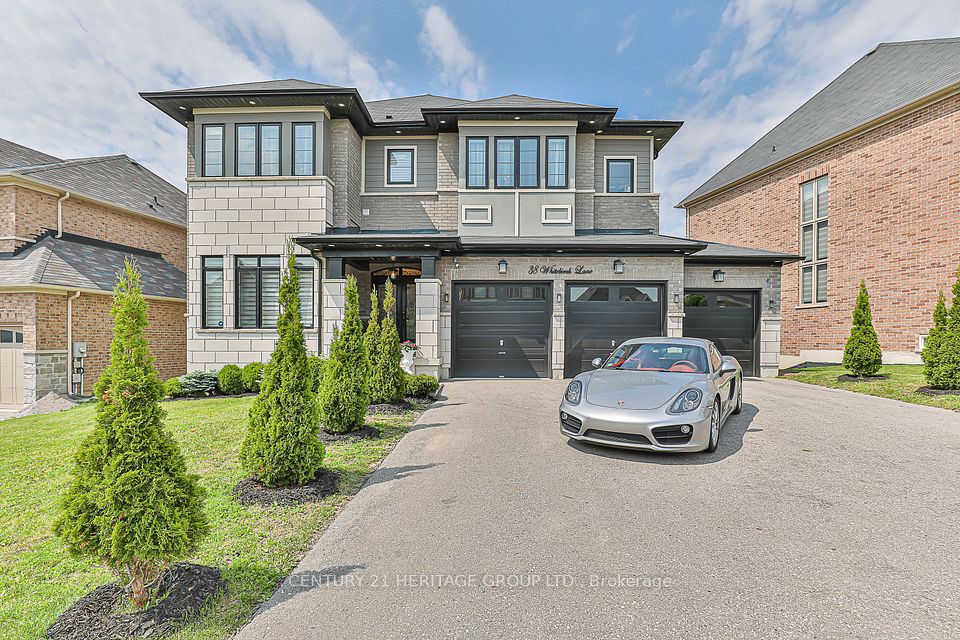 38 Whitebirch