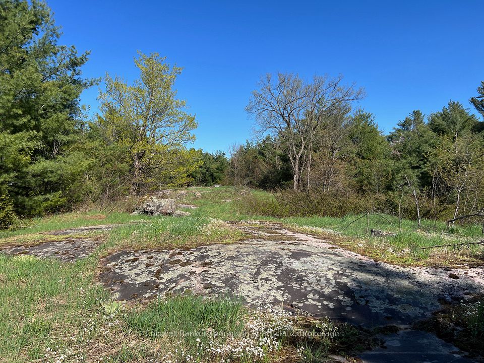 Investment Listing Photo