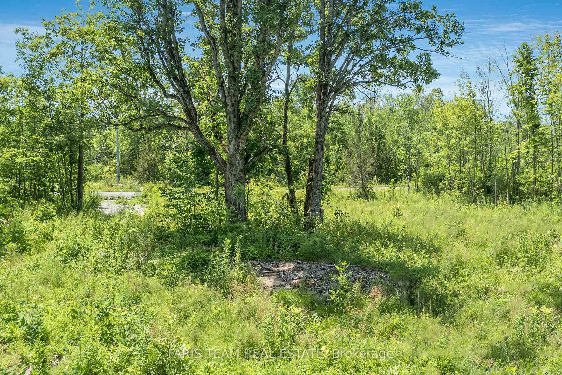 88 Musky Bay Road, Georgian Bay, ON L0K 1S0