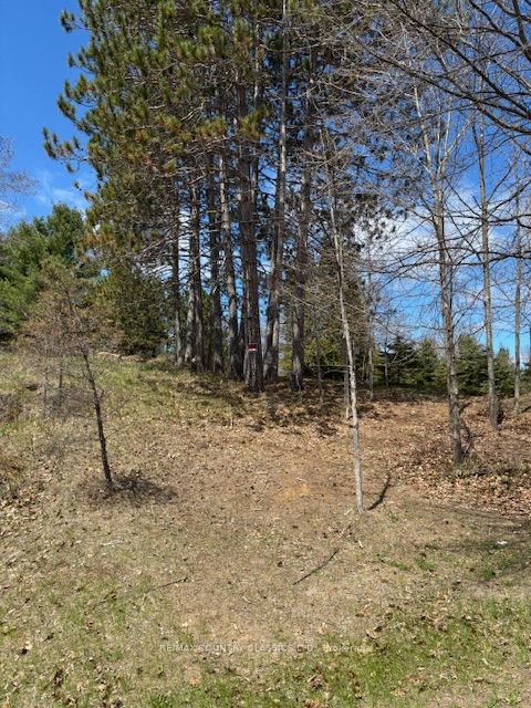26686 Highway 62
