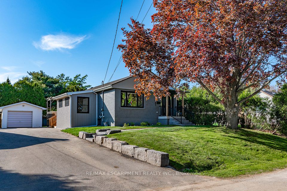 1041 Shepherd's