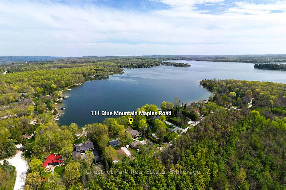 111 Blue Mountain Maples