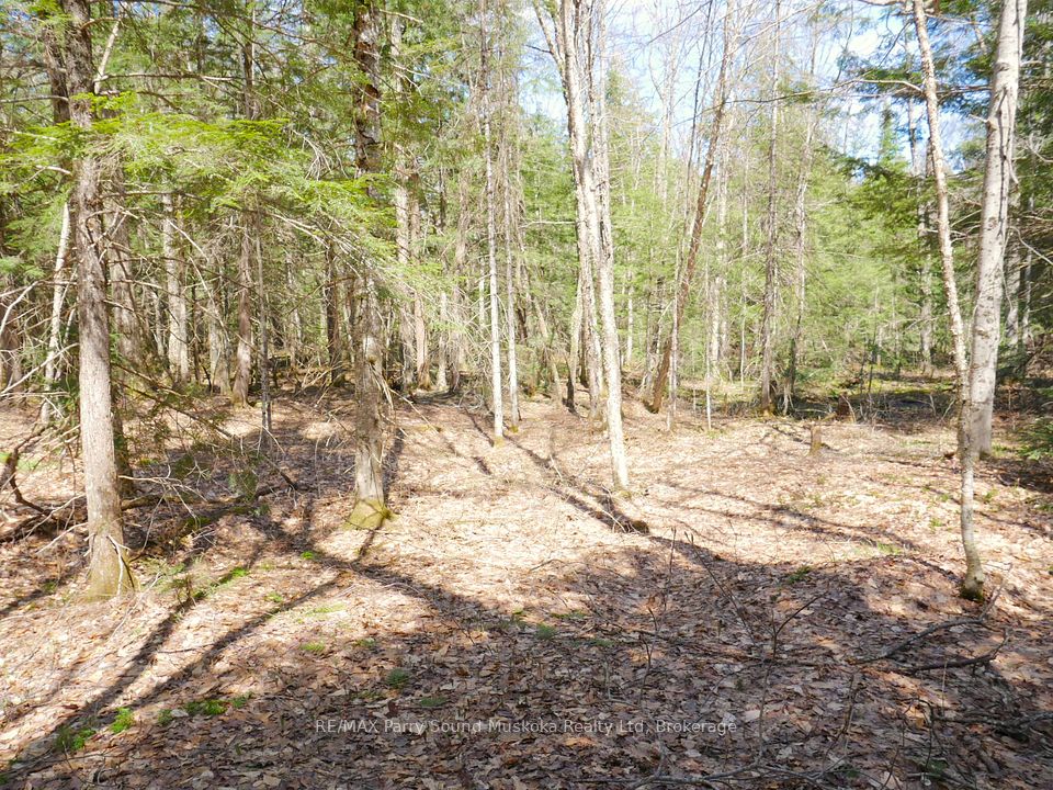 3 Greenwood Camp Road, Seguin, ON P2A 2W8