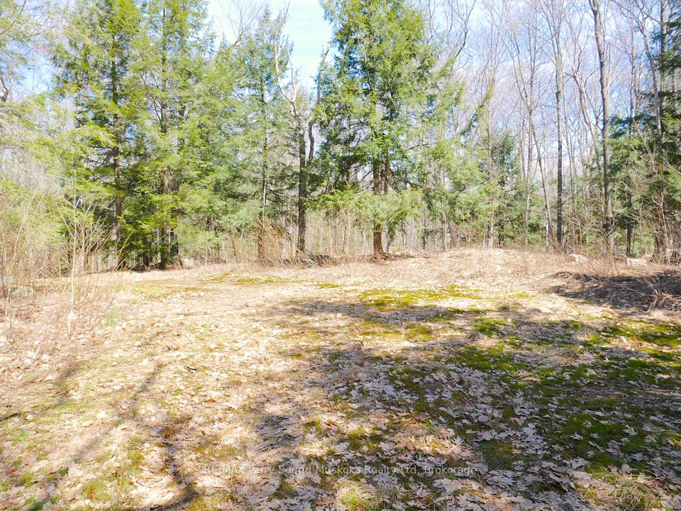 3 Greenwood Camp
