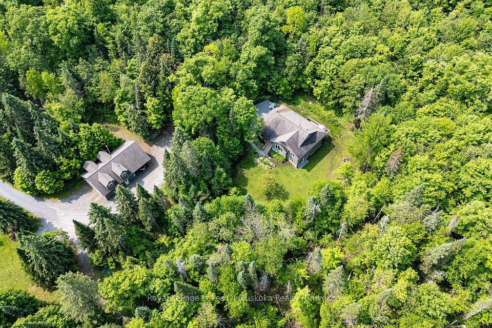 1334 Beatrice Townline