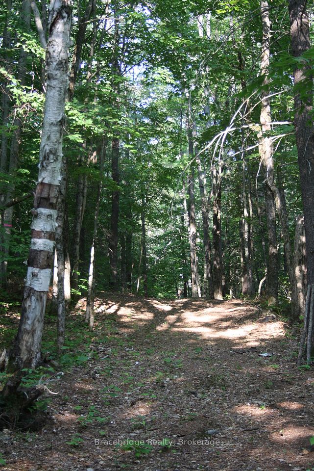 0 Rainey Road, Bracebridge, ON P1L 1X1