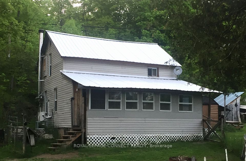 1256 Elm Tree