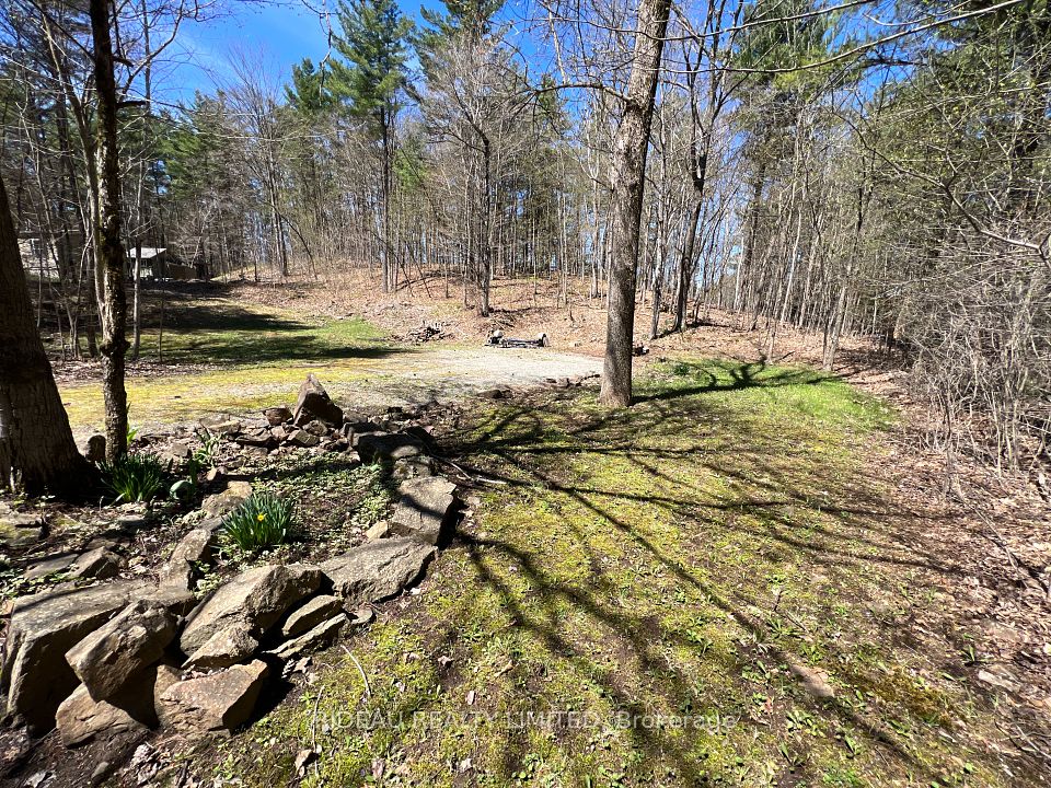 Investment Listing Photo