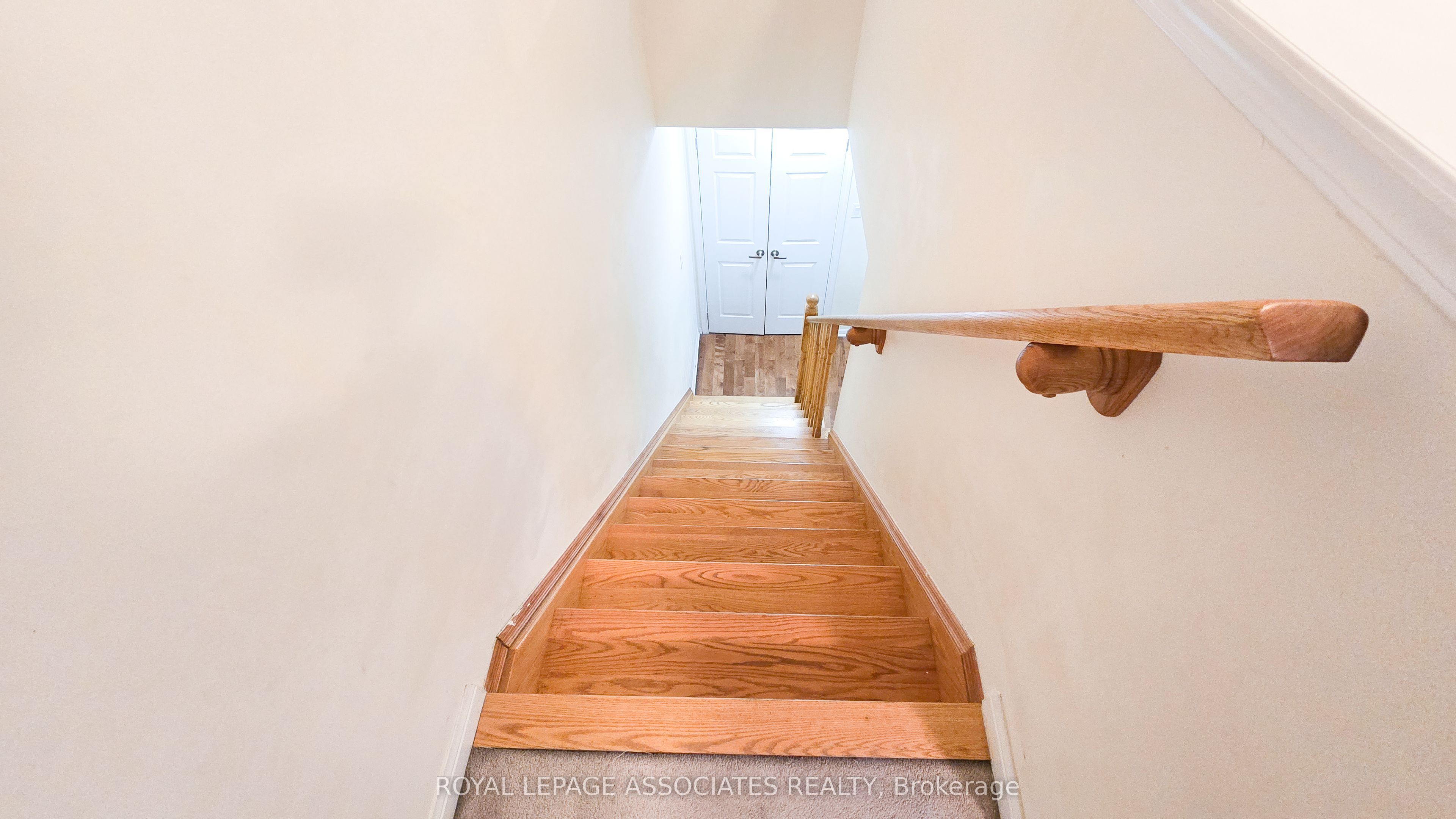 50 Mendelssohn Street, #8