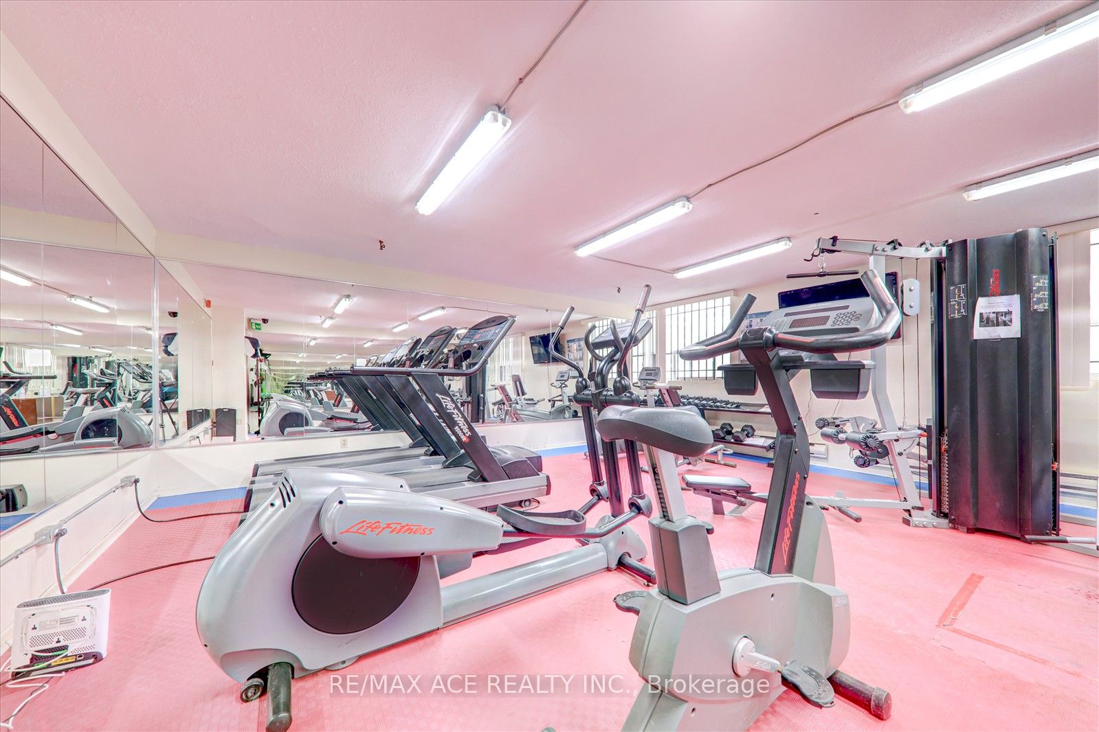 20 Gilder Drive, #1101
