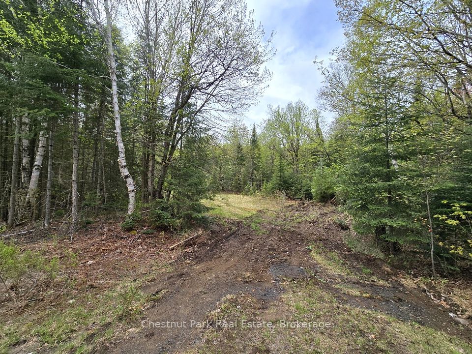 Part 7 Echo Ridge Road, Kearney, ON P0A 1M0