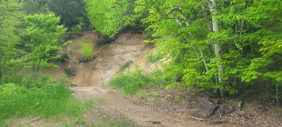 00 Tusk Trail, Dysart et al, ON K0L 1C0