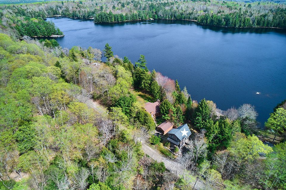 299 Pine Ridge Road