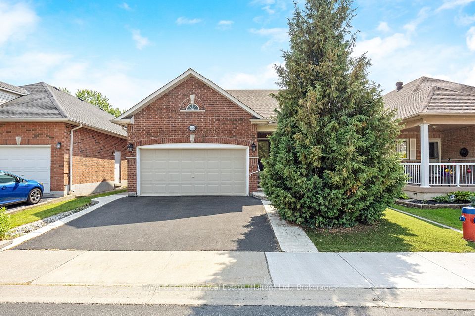 330 Centennial Forest