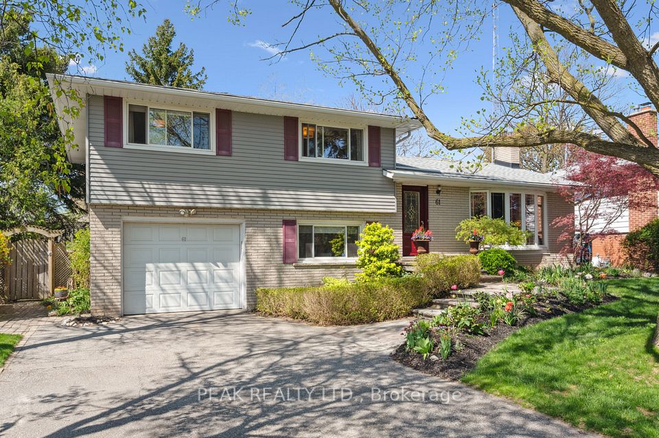 61 Larkspur