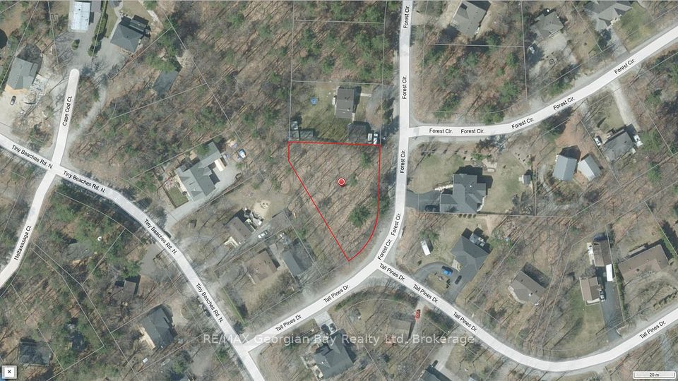 Lot 558 Forest