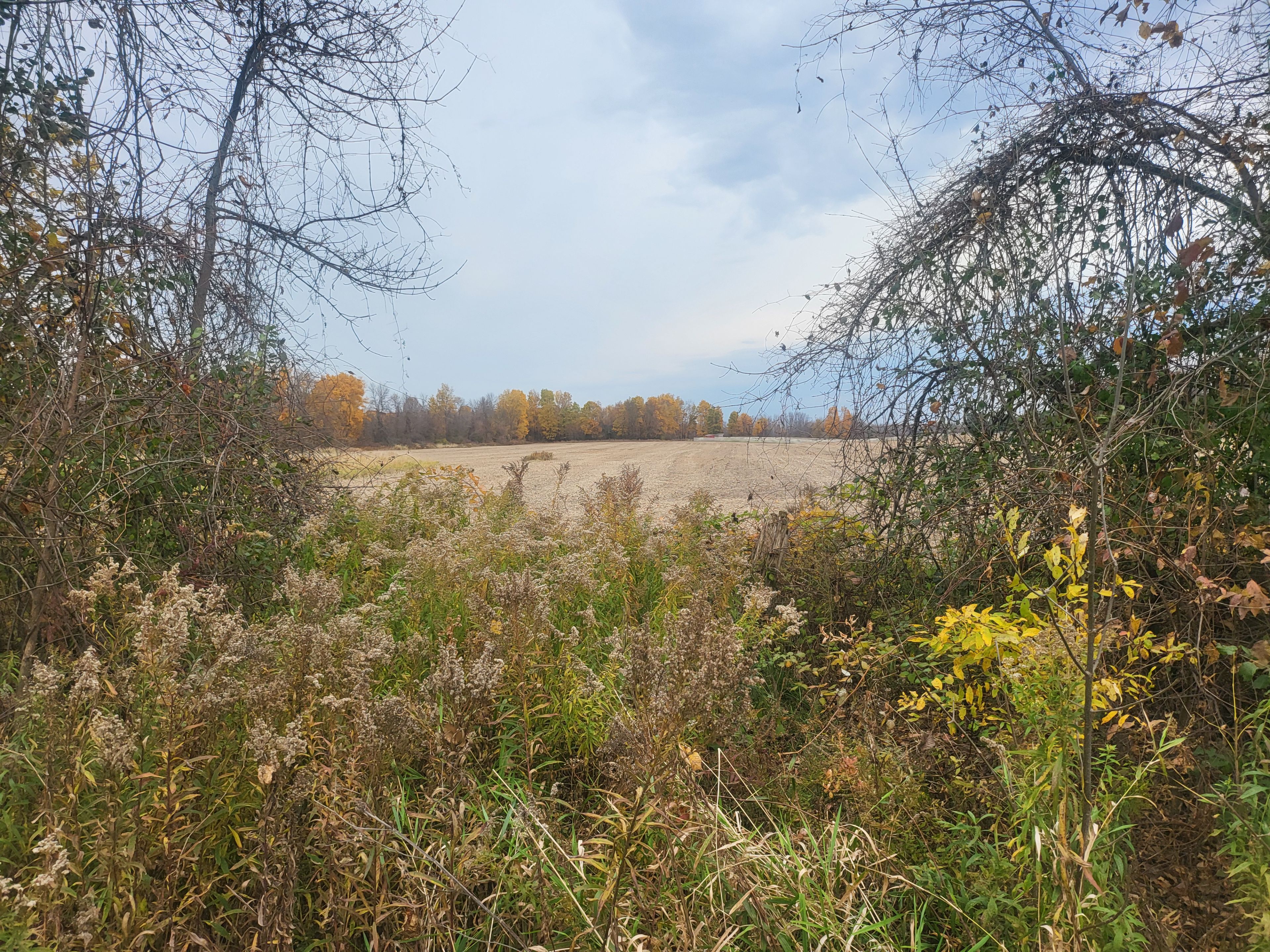Lot 5 BUSH Road Rideau Lakes Ontario K0G 1E0