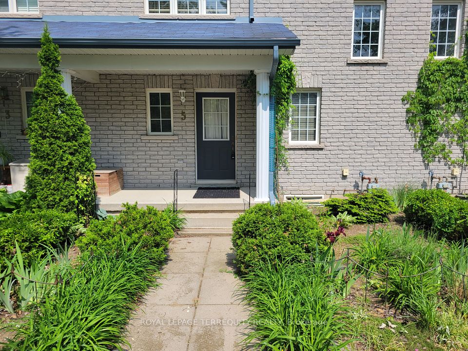 5 Silver Maple