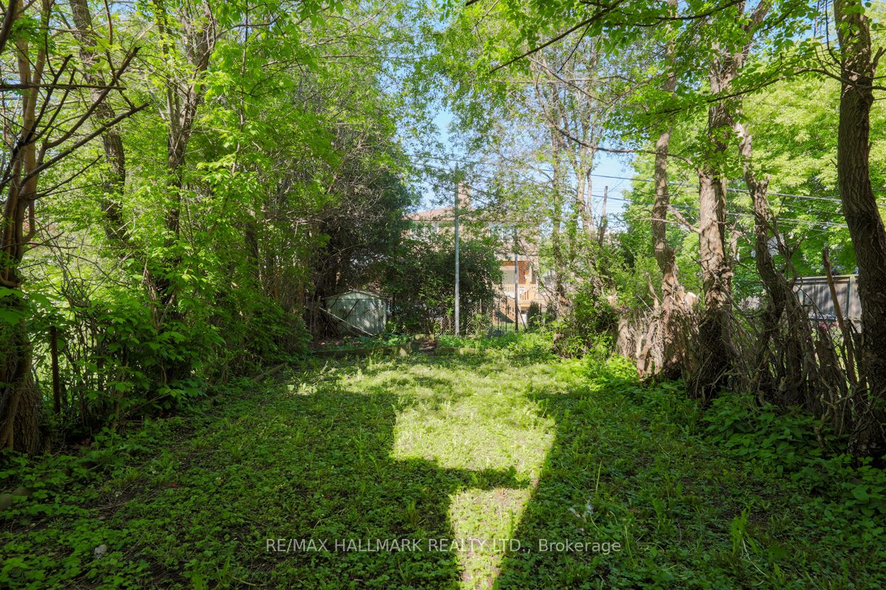 68 August Avenue