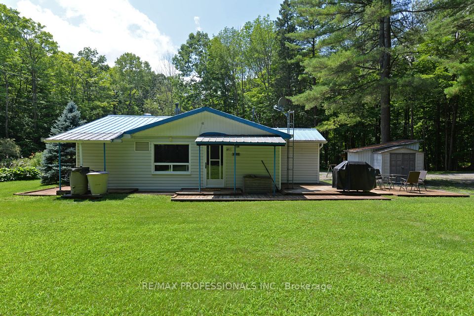 50 Pine Grove