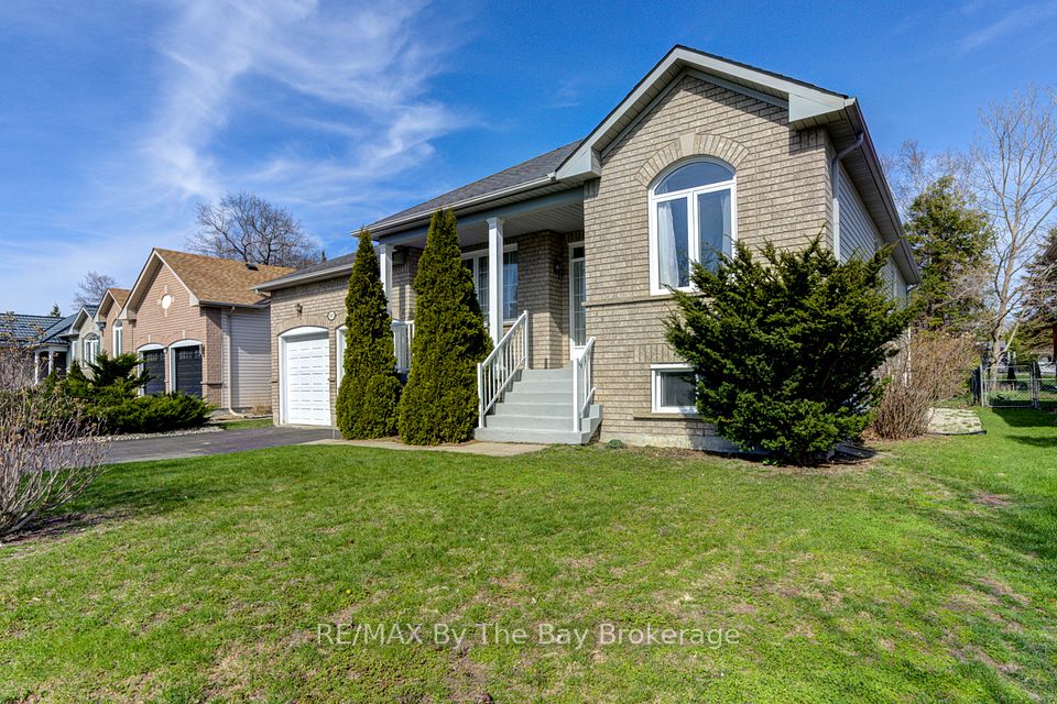 150 Silver Birch