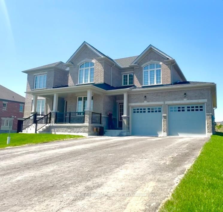 101 Golden Meadows