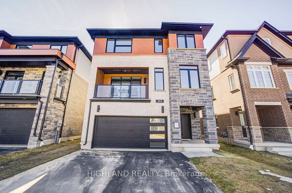 565 Balsam Poplar