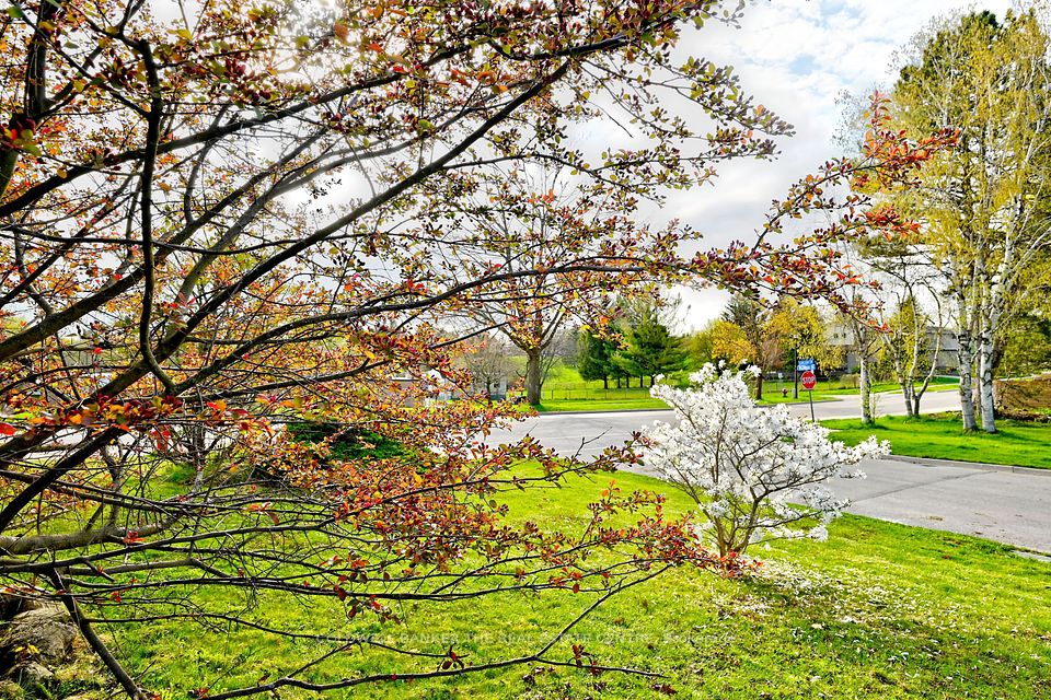 940 Wildwood Drive, Newmarket, ON L3Y 2B5