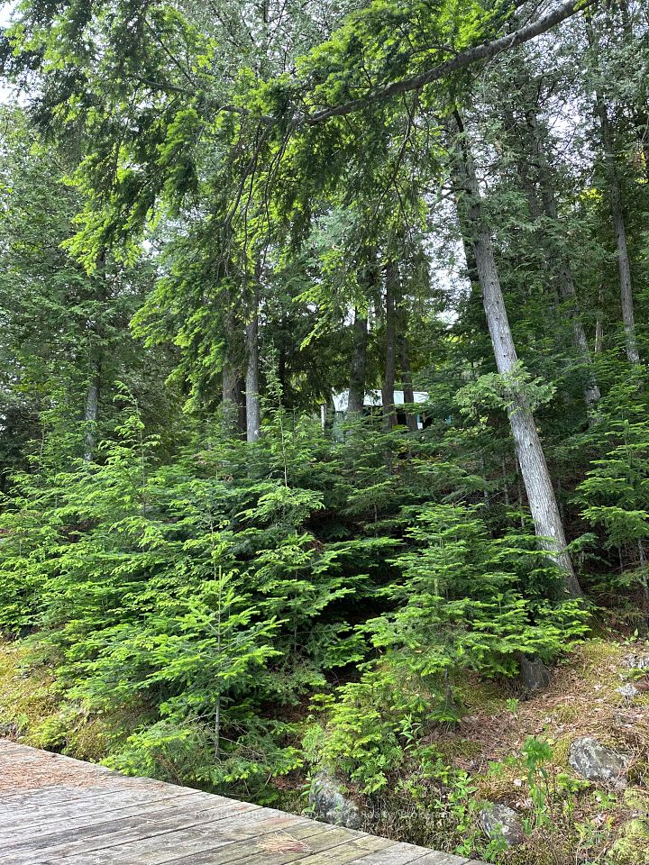 Investment Listing Photo