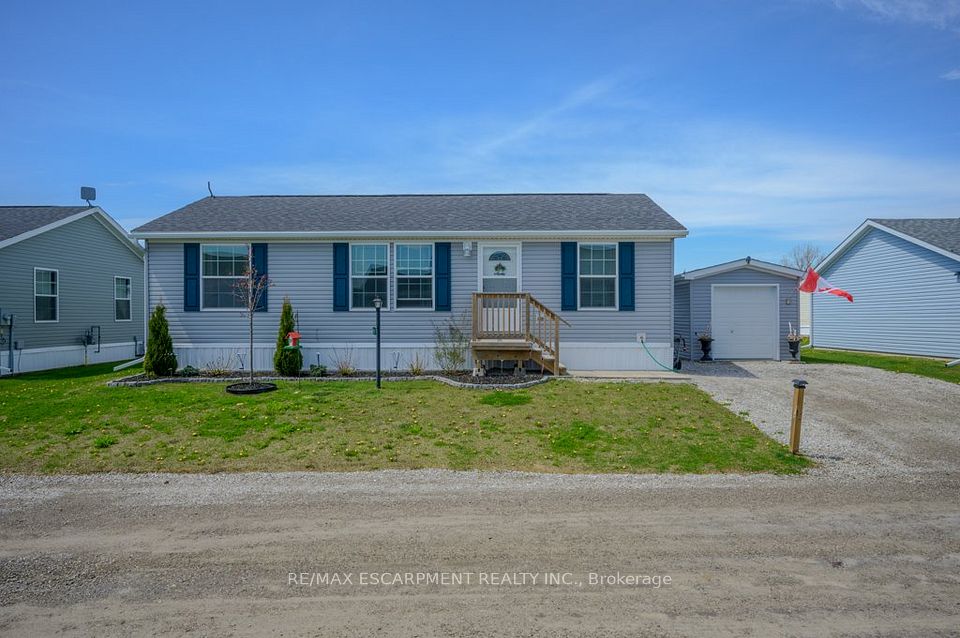 9 Copper Beech