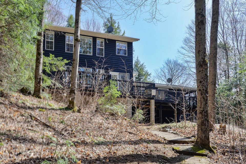 26 WOODLAND