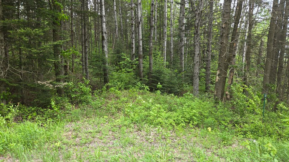 648 O'CONNOR Line, Powassan, ON P0H 1Z0
