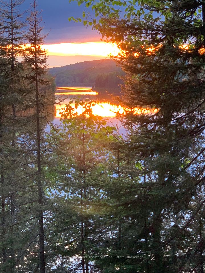 0 B Forest Lake Road
