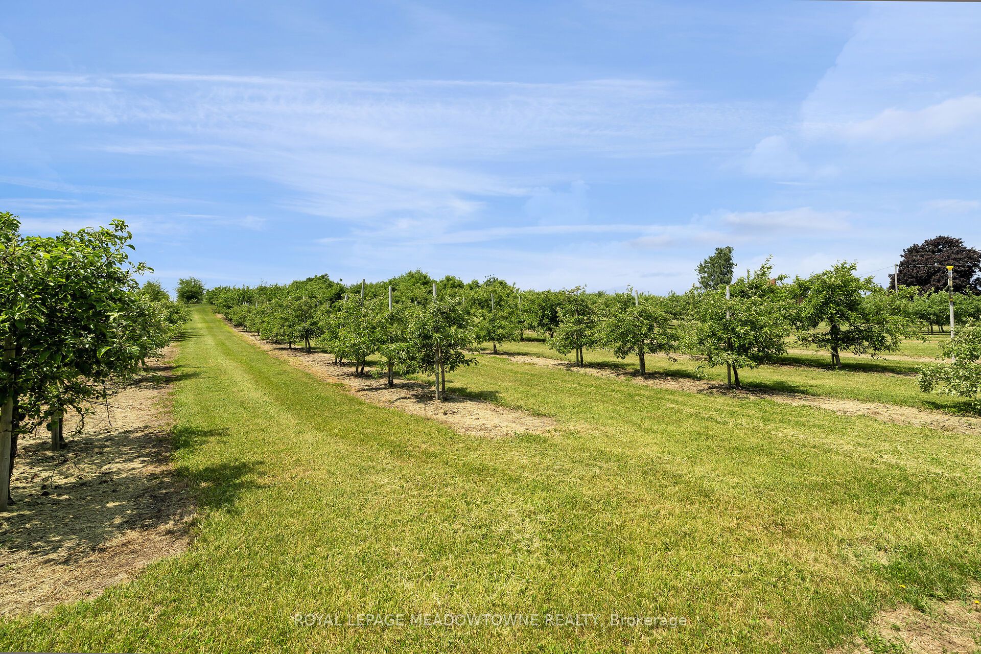 1453 Milburough Line