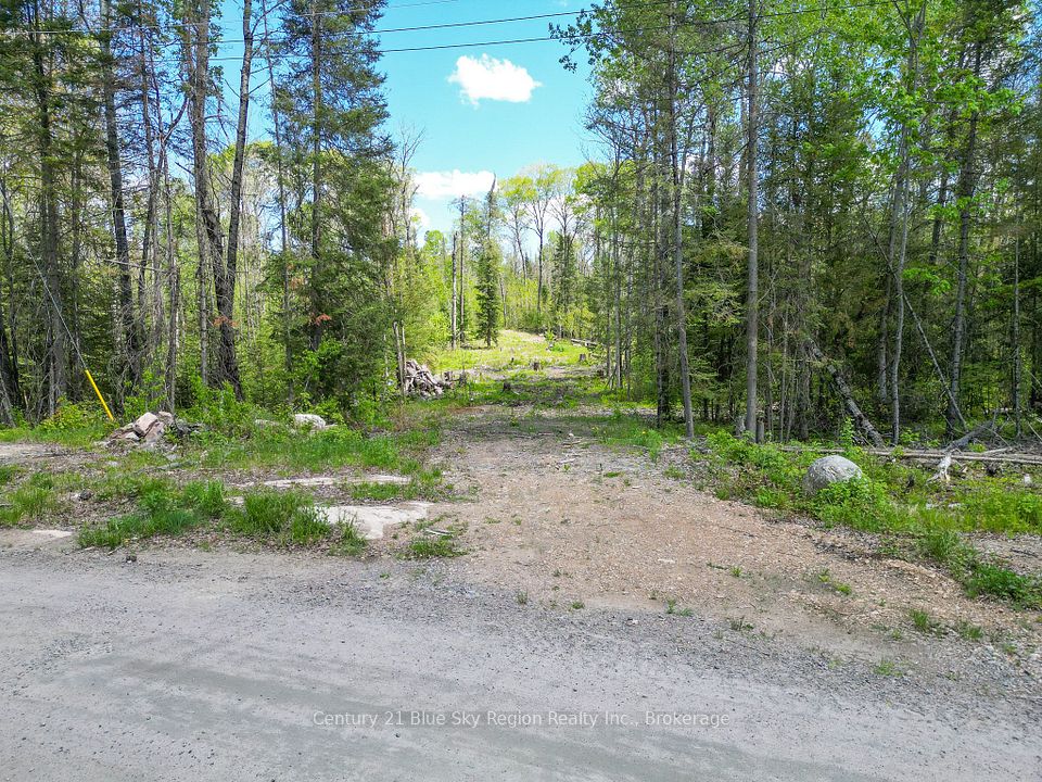 13 One Mile Road