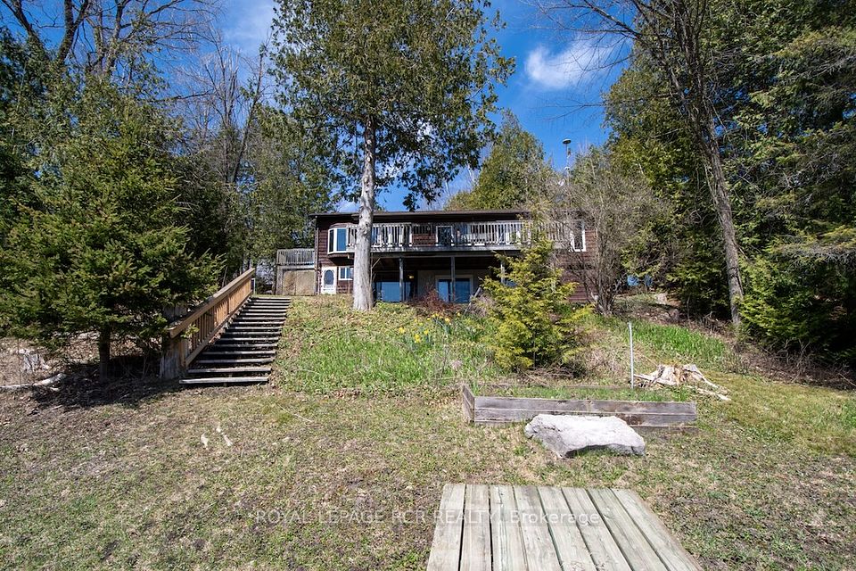24 Juniper