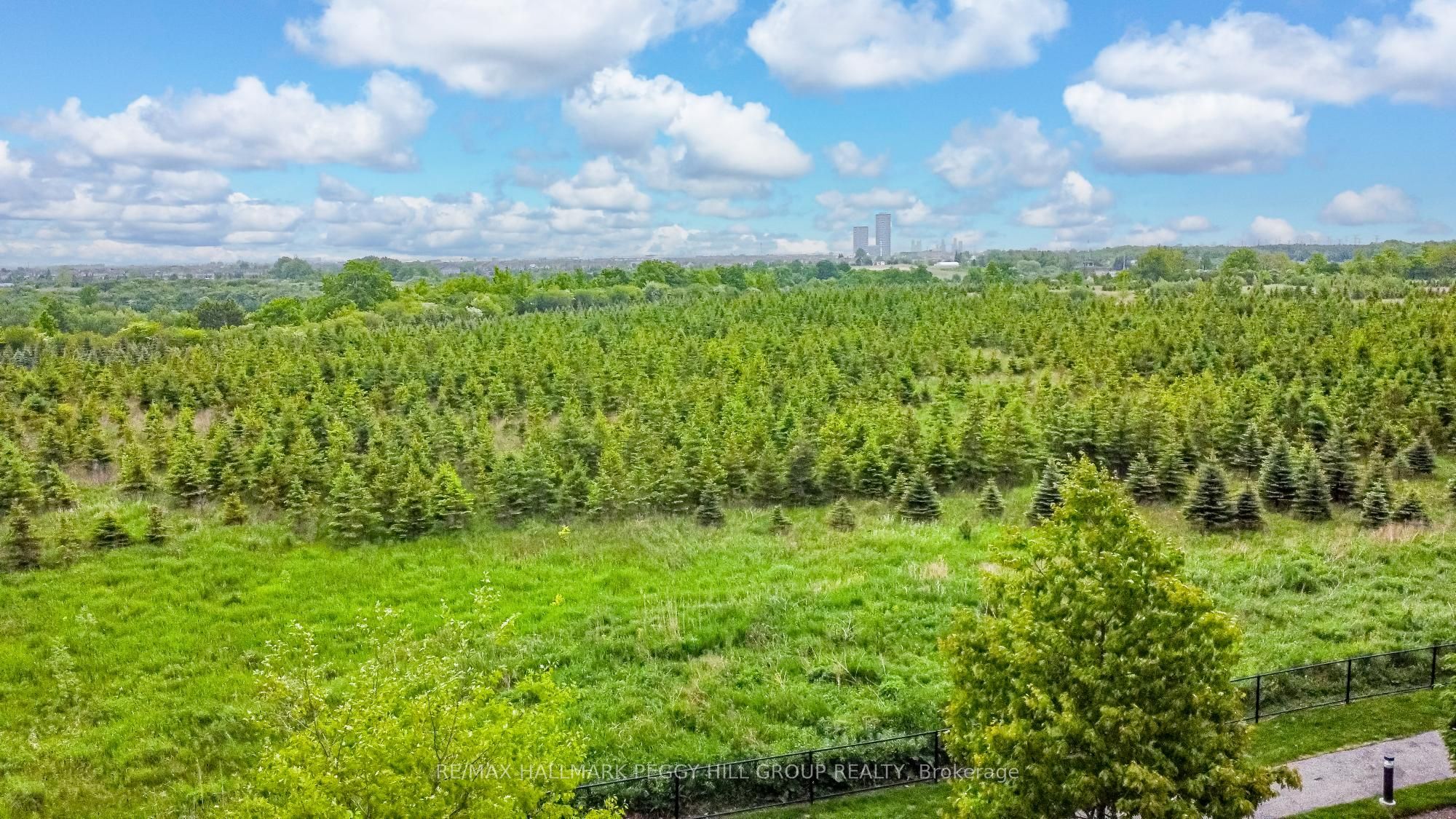 45 Yorkland Boulevard, #206