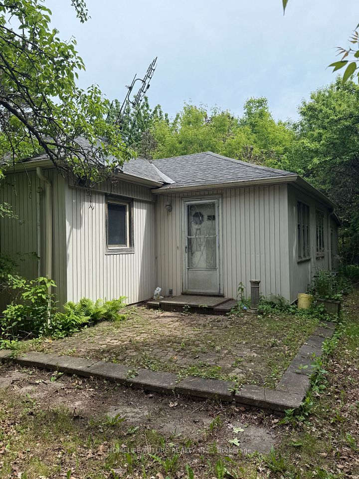 31 Maple Bush