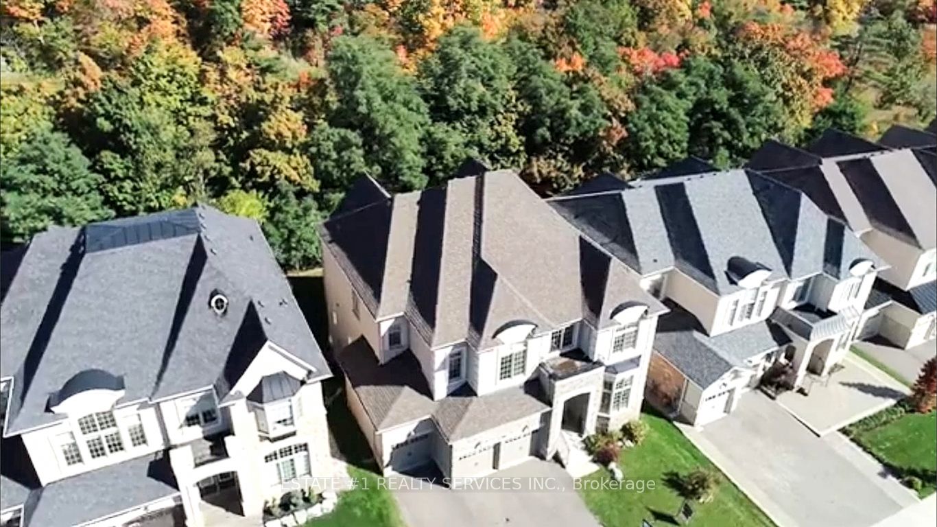 50 Adamsville Road