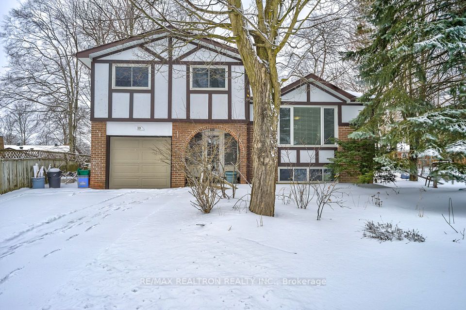 29 Aspen