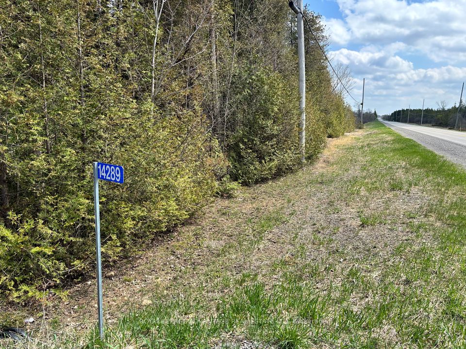 14289 County 15