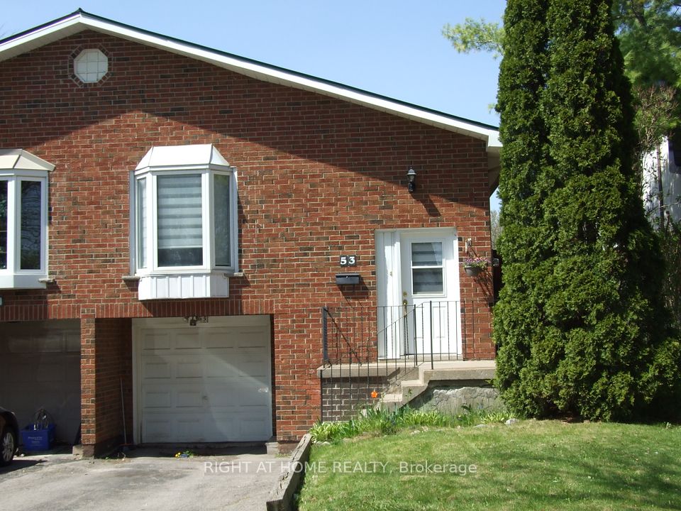 53 Renfield