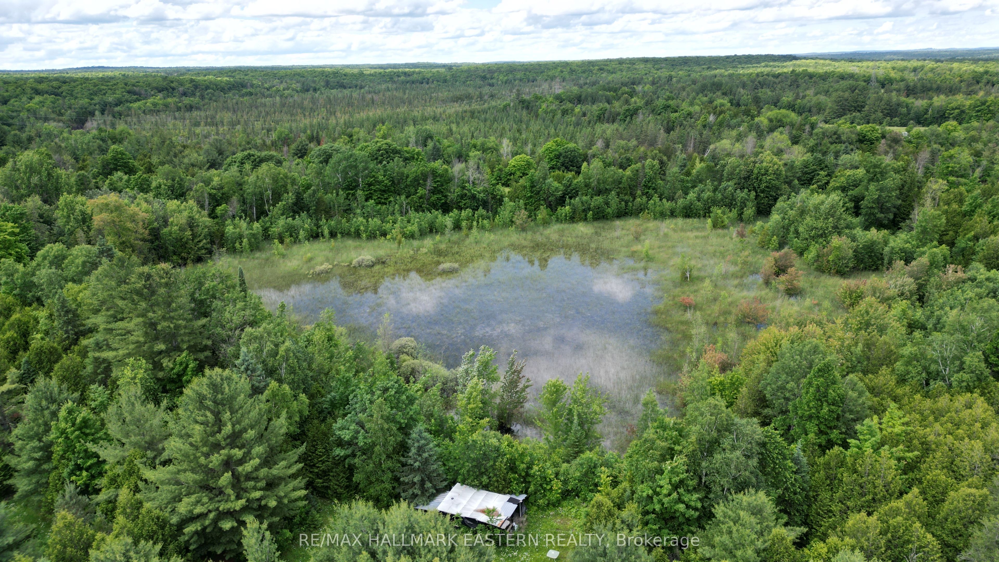 4291 County Road 44