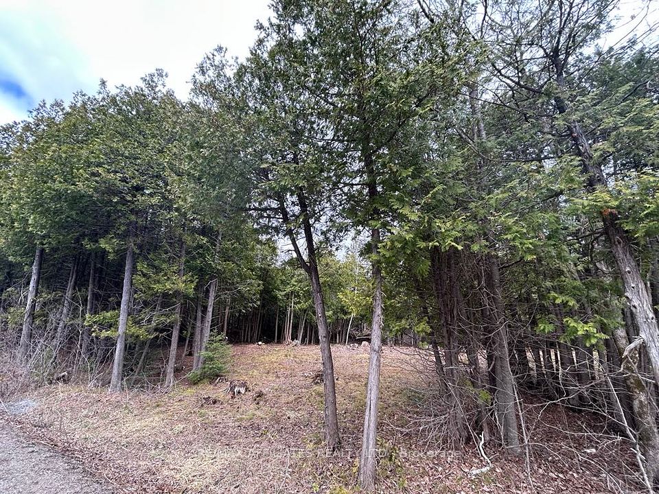 00 Snowdons Corners Road, Merrickville-Wolford, ON K0G 1N0