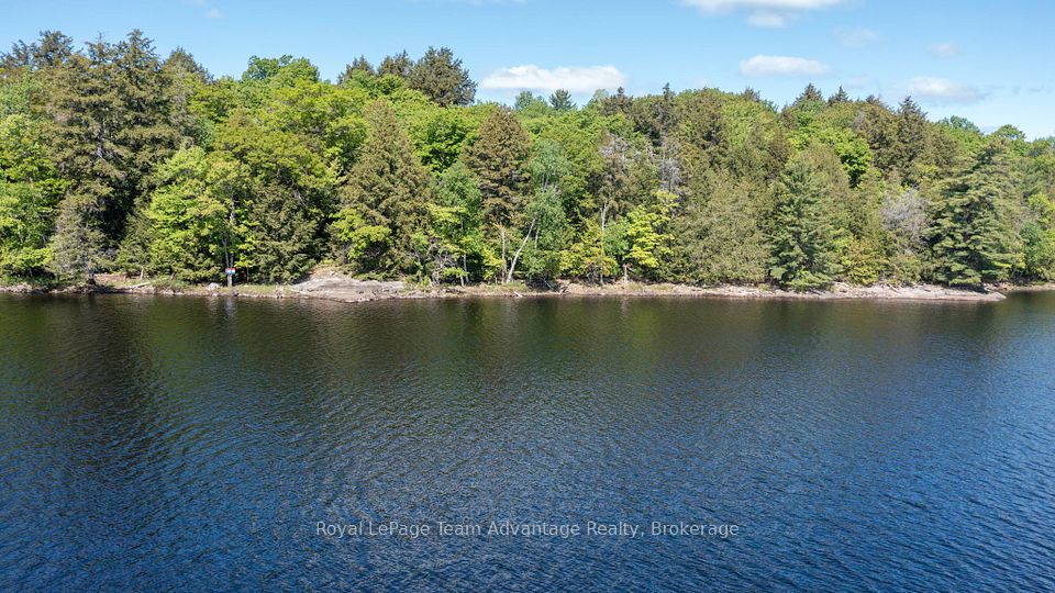 4WA Wahwashkesh Lake