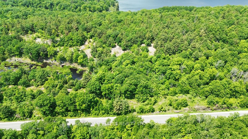 938 Crow Lake