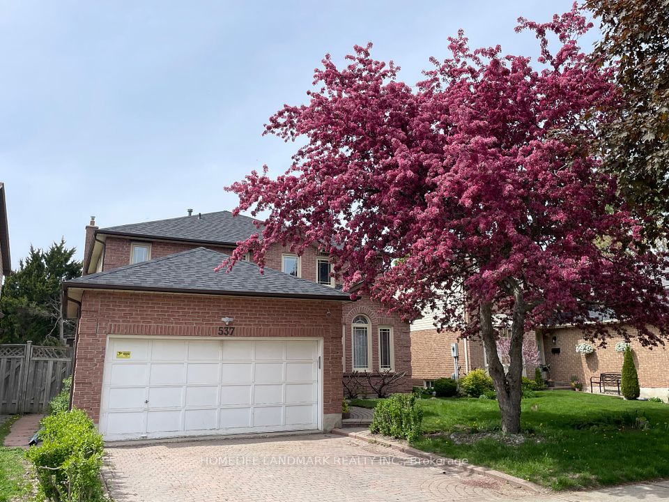 537 Raymerville