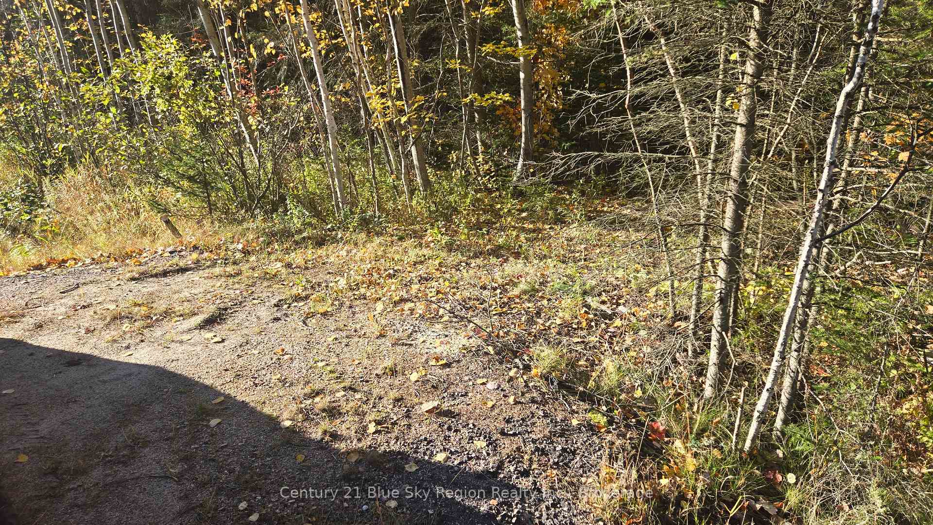PT LT 6 Con 11 Highway 654 ; MLS ID: X12071147