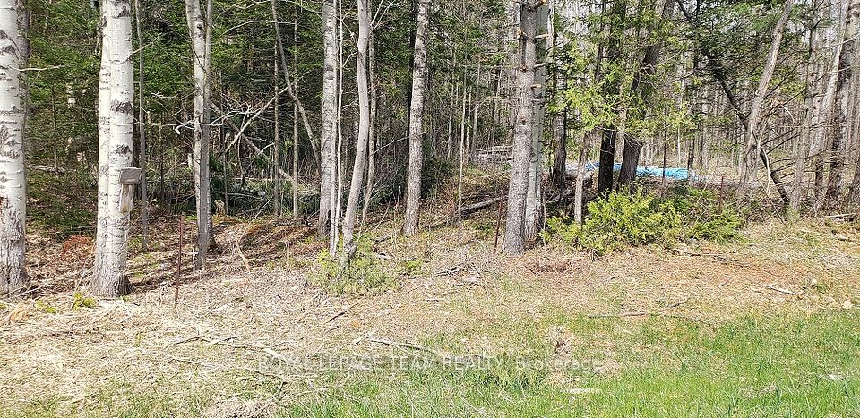 000 Burnstown Road, McNab/Braeside, ON K0A 3L0